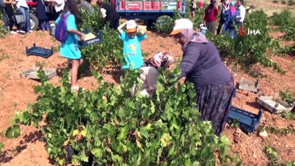 Ürgüp’te Bağ Bozumu etkinlikleri devam ediyor