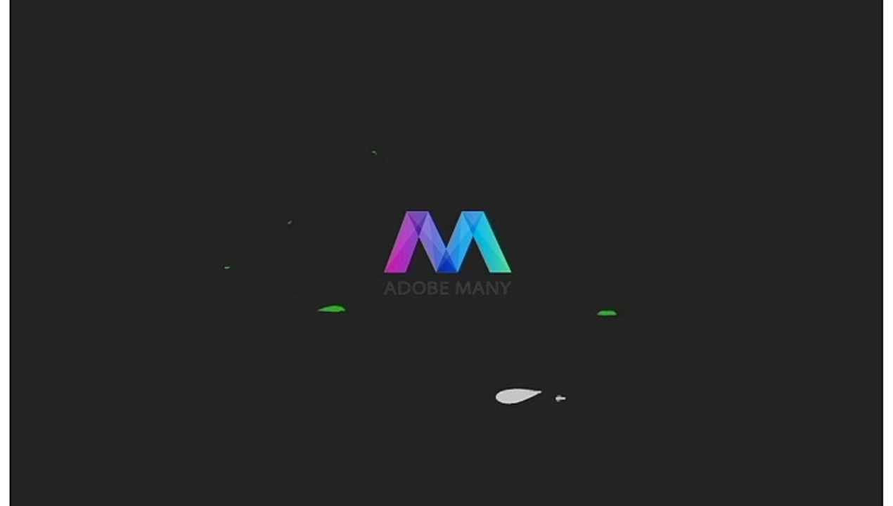 Adobe After Effects Template Happy Walk Logo Reveal