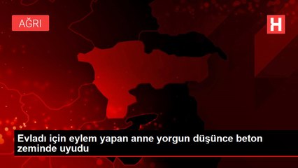 Evladı için eylem yapan anne yorgun düşünce beton zeminde uyudu