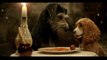 Tessa Thompson, Justin Theroux In 'Lady and the Tramp' First Trailer
