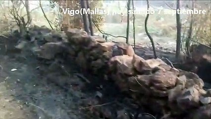 Vigo(Mallas)  septiembre