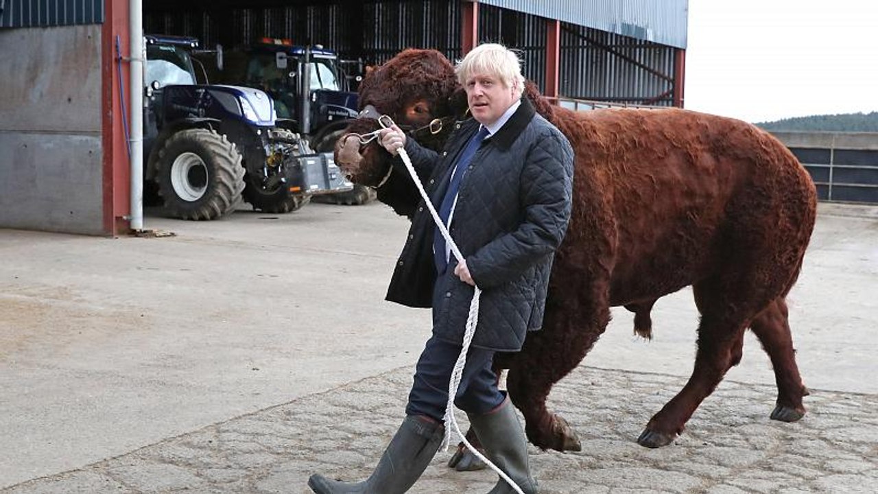 „Brexit“: No-Deal-Gegner bereiten sich auf Klage gegen Johnson vor