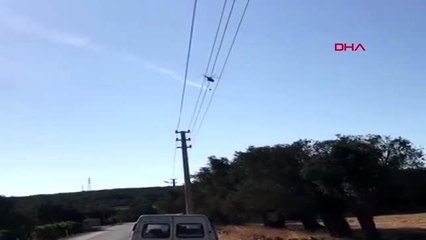 İzmir-urla'da orman yangını
