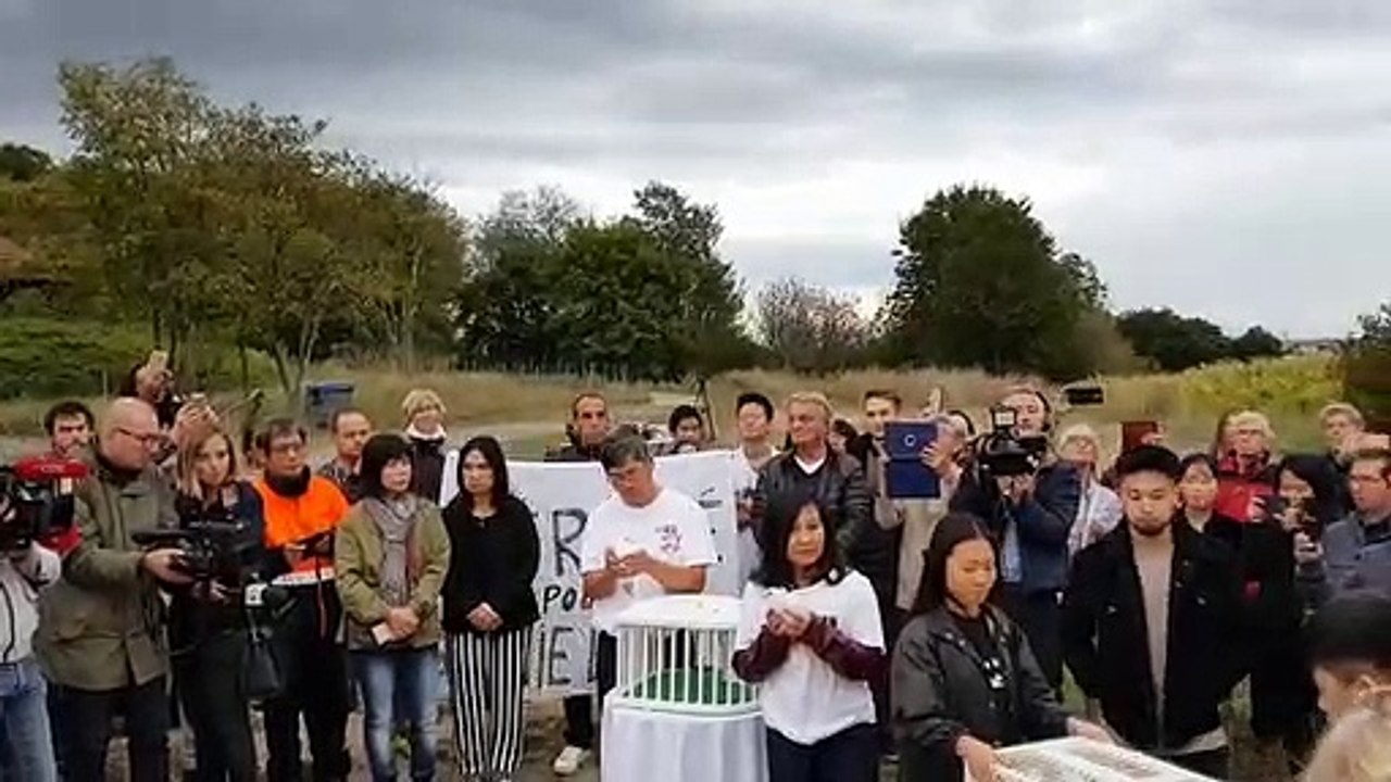 Un lâcher de colombes, pour se souvenir de Sophie Le Tan