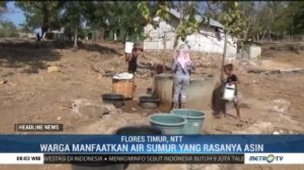 Krisis Air Berkepanjangan, Warga Flores Timur Terpaksa Konsumsi Air Asin