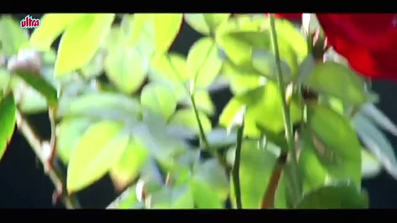 Kadhal Rojave - A R Rahman - Arvind Swamy, Madhoo - Roja (1992) - video ...