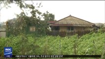 전국 곳곳 태풍 상흔…3명 사망·4명 중상