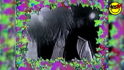 Caifanes - "La Negra Tomasa" (Video Oficial)