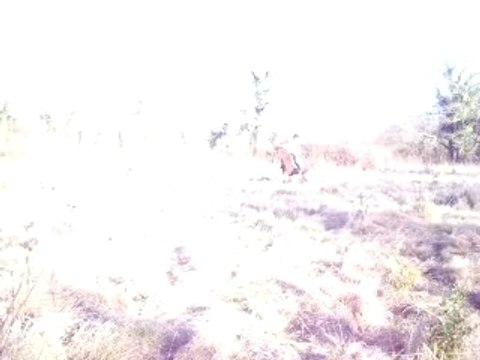 Indien Nono Léa Camille Clem et Mimi et Coquette 017