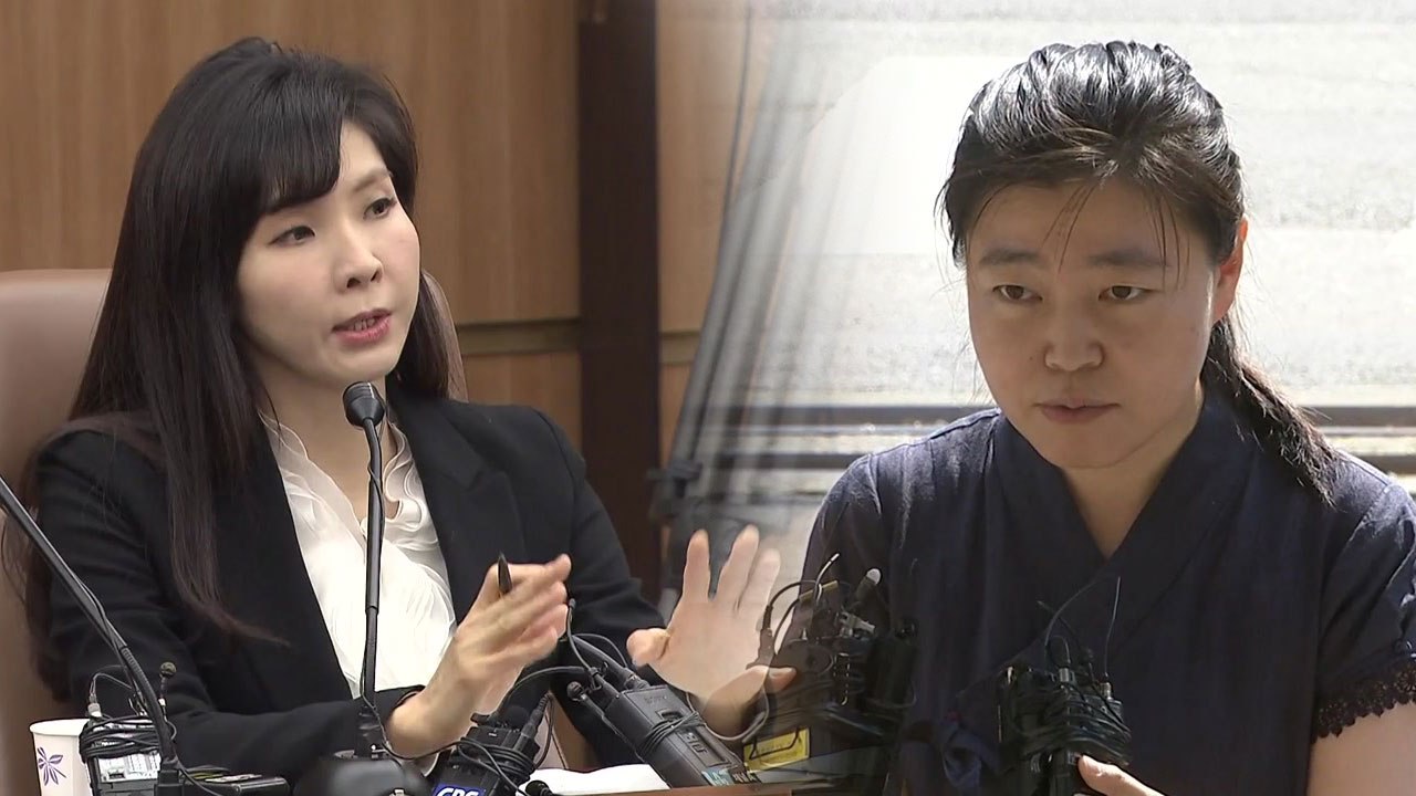 서지현·임은정 검사, 조국 부인 기소에 "정치검찰" 비판 / YTN