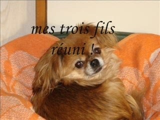 Vido de ma famille francine