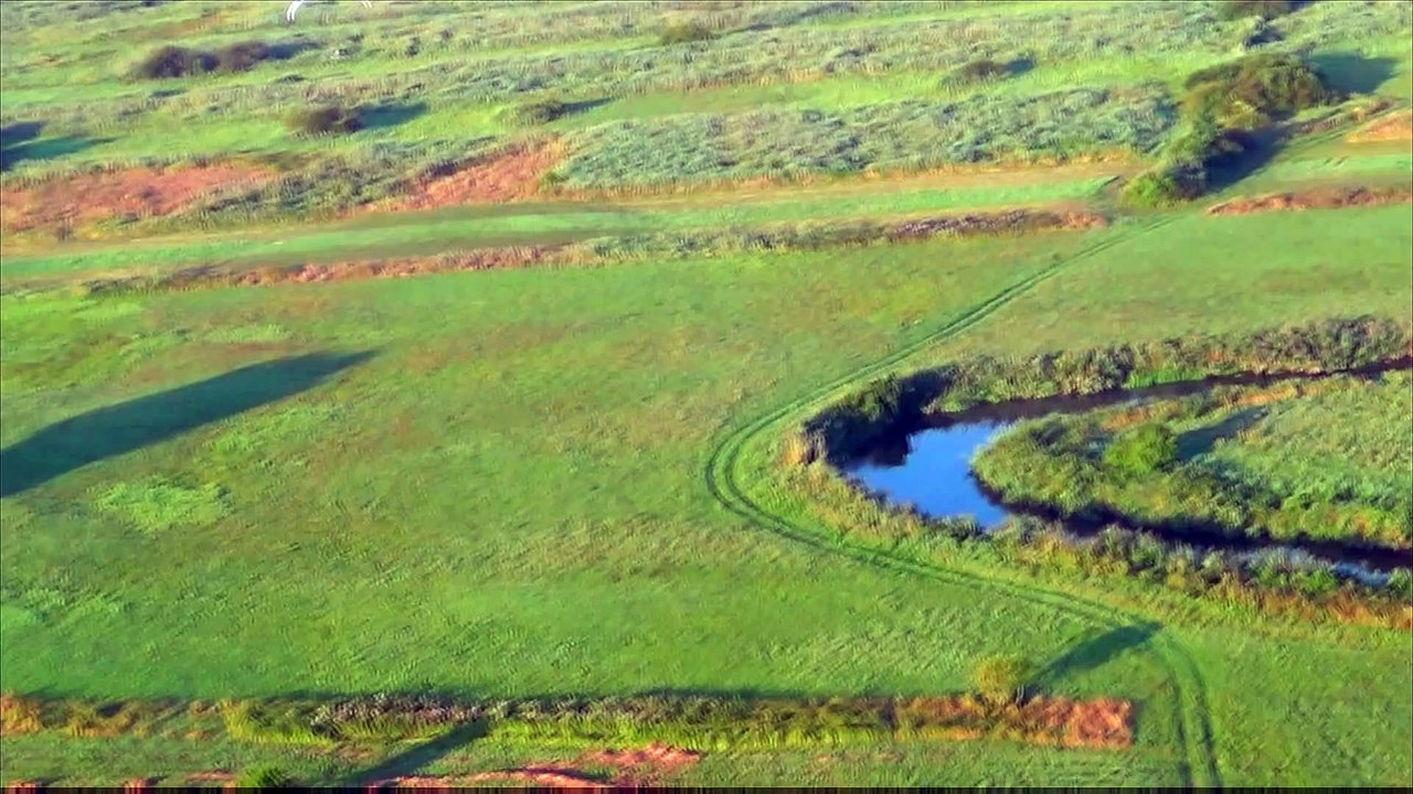 Krasnystaw - Nielisz