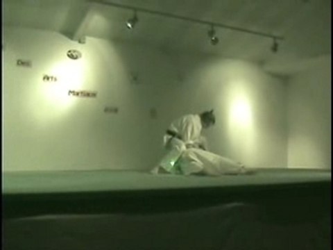 Démo nuit des arts martiaux shizendo karaté do