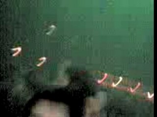 Kitsuné Maison Tour 5 - 1er Février 2008