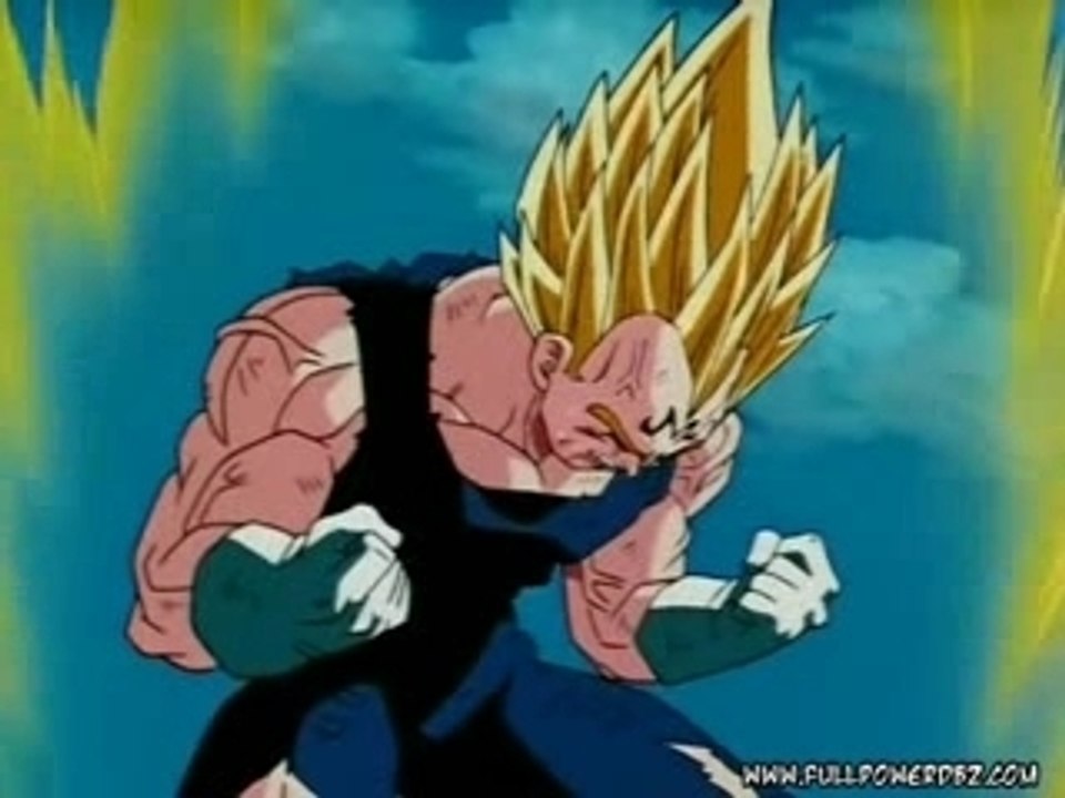 Dbz vegeta tristesse et fierté amv