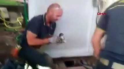 Yavru kediyi kurtaran itfaiyeci gözyaşlarına hakim olamadı