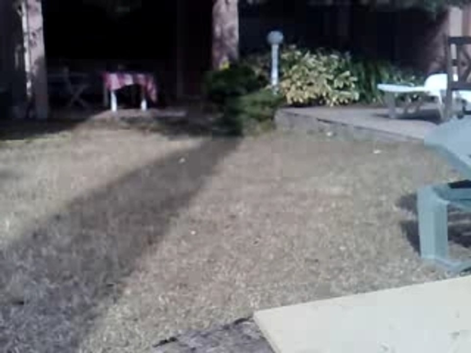 saut losi XXXT brushless