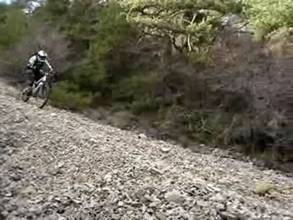 boubou dans le pierrier