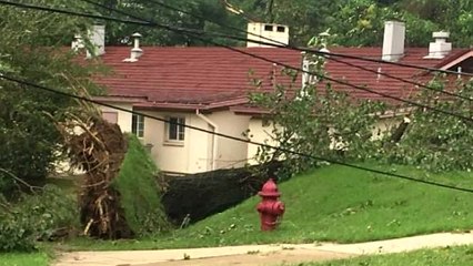 용산 미군 기지도 태풍 피해...정전 복구 중 / YTN