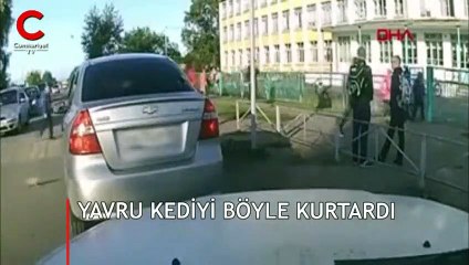 Yavru kediyi ezilmekten böyle kurtardı