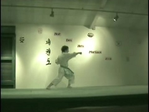 Kata enpi Steve Vigouroux nuit des arts martiaux