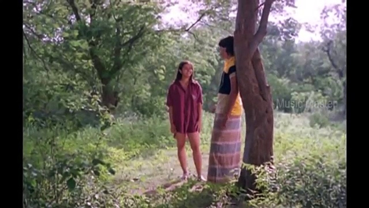 Chinna Mani Kovilile Video Song  Vanna Vanna Pookkal1992