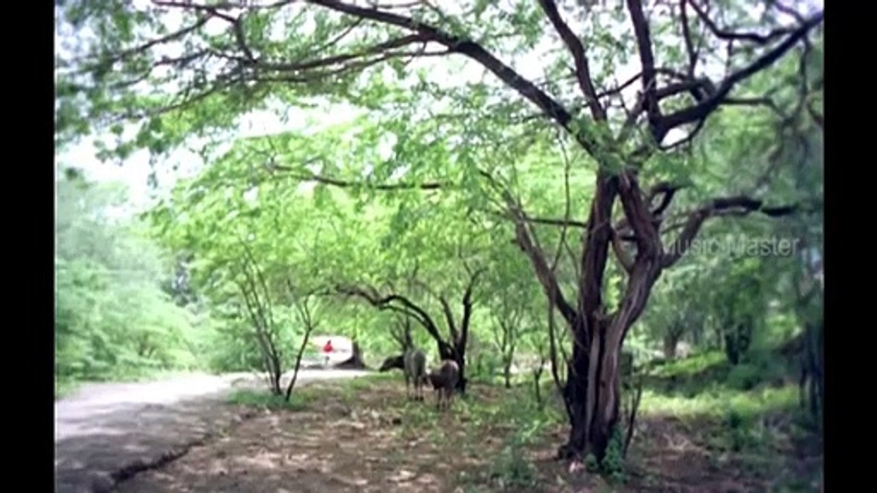 Ila Nenje Vaa Video Song  Vanna Vanna Pookkal 1992