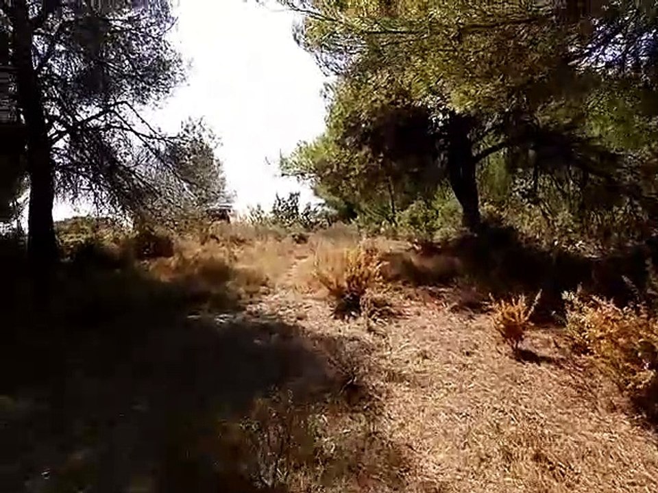 400m2 de broussailles partent en fumée à Saint-Victoret