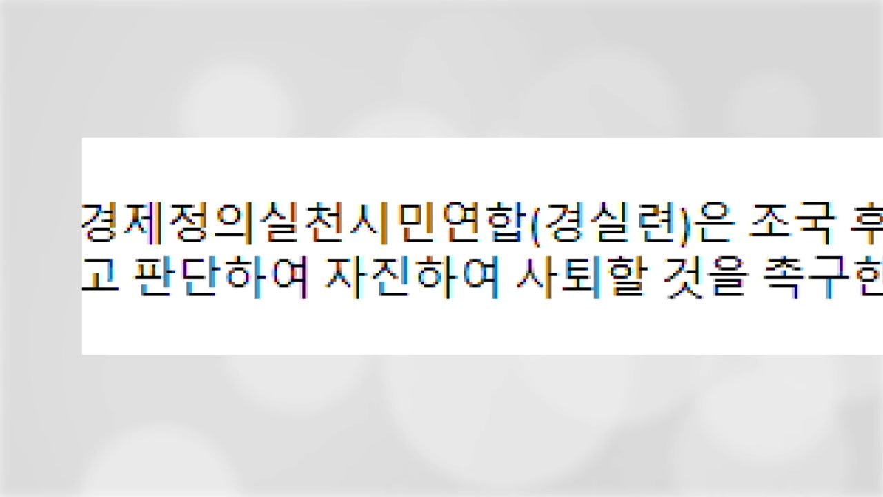 경실련, 조국 자진 사퇴 촉구..."개혁 동력 상실 우려" / YTN