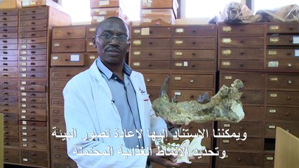 أحافير في متحف نيروبي الوطني تخفي أسرارا منسية