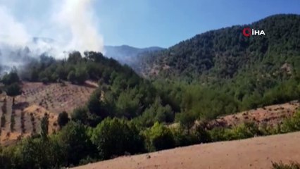 Hatay'da orman yangını
