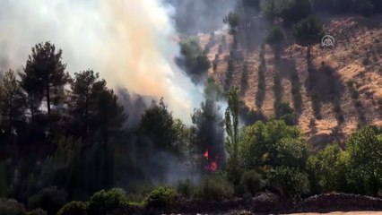 Amanoslar'daki bahçe yangını - HATAY