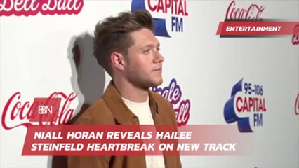 Niall Horan's Song About Hailee Steinfeld