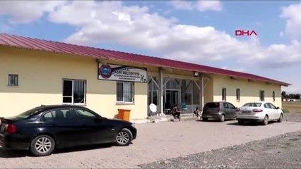 Ölen annelerinin başında duran yavru köpekler barınağa götürüldü