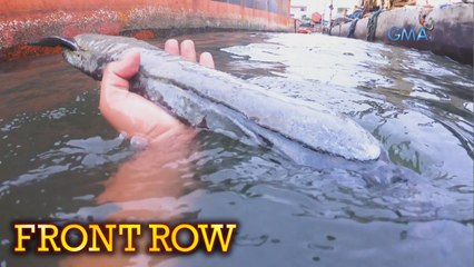 Front Row: Batang bakal