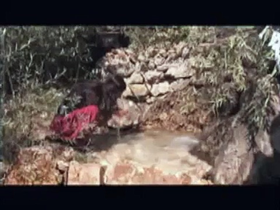 Zeynep Kılıç - Dewa Tova