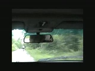 viens! in vino veritas