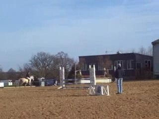 CSO Touzaint 3 02 08, 70cm