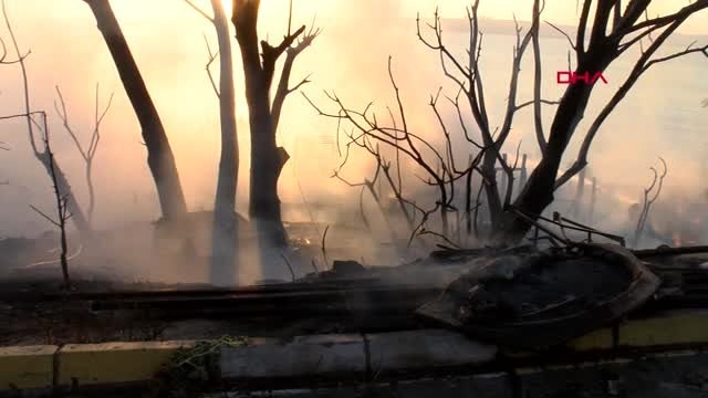 Beylikdüzü'nde otluk alanda yangın; 650 kümes hayvanı öldü -2
