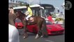 Ce cheval déteste les voitures Ferrari. Gros coup de sabot