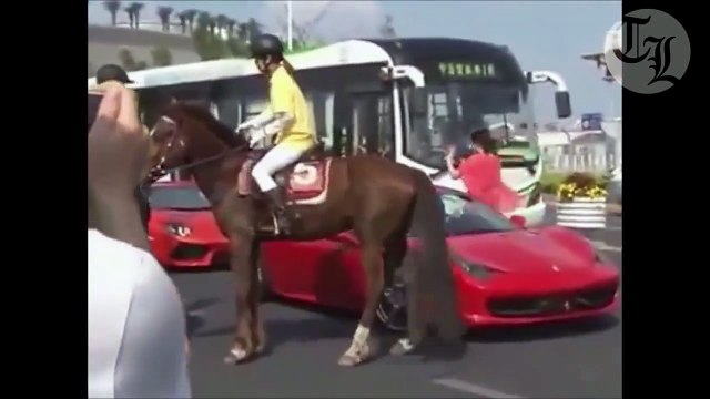 Ce cheval déteste les voitures Ferrari. Gros coup de sabot