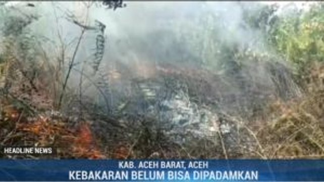 Kebakaran Lahan Gambut di Aceh Barat Meluas