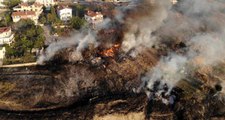 İstanbul'da korkutan yangın: Yüzlerce hayvan telef oldu