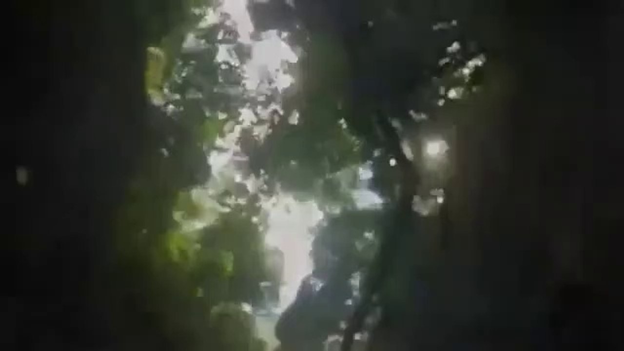 Sungai Mendidih Di Amazon
