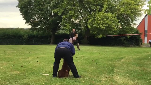 Portes ouvertes des pompiers de Philippeville (1)