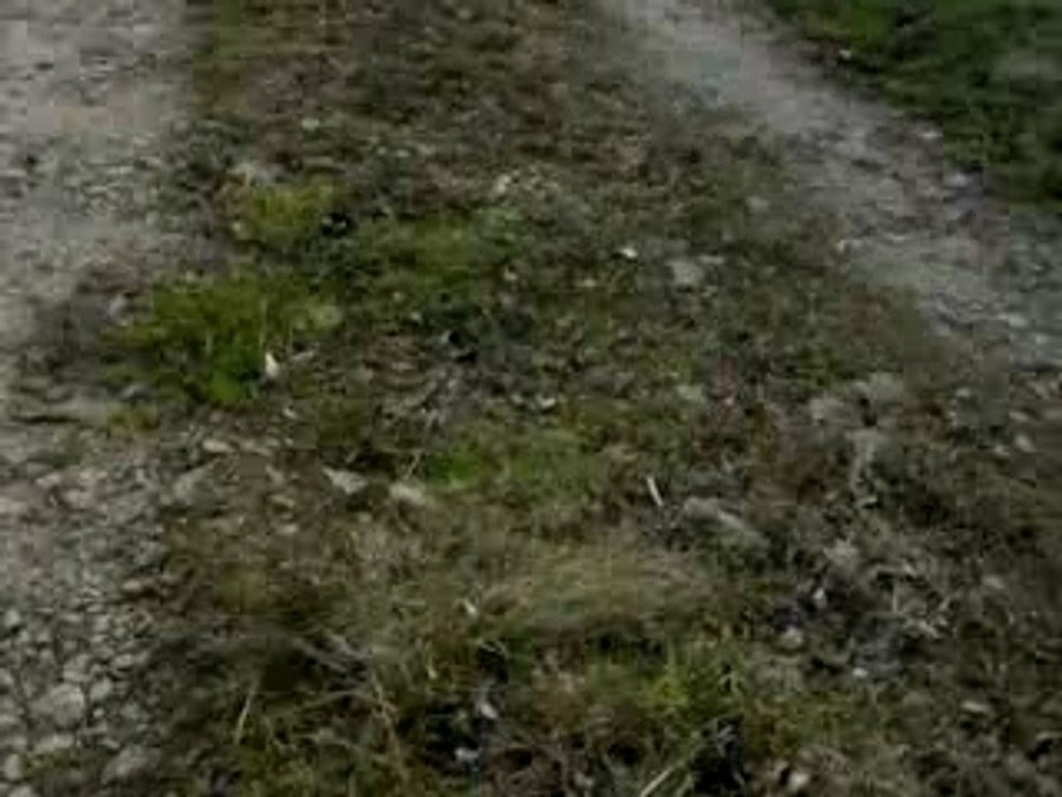 Cocaïne en promenade