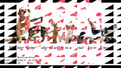 Who loves animals, will have a special place [Quotes and Poems]