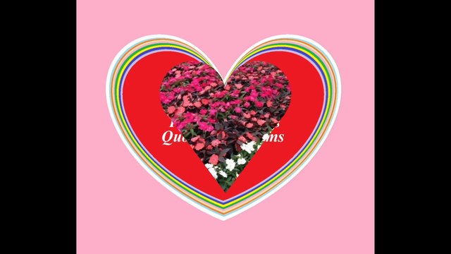 The garden of your love, is full of beautiful flowers and roses! [Quotes and Poems]