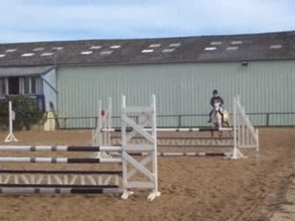 CSO Touzaint 3 02 08,  90cm