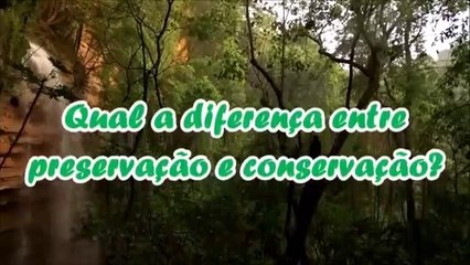 Qual a diferença entre PRESERVAÇÃO e CONSERVAÇÃO?